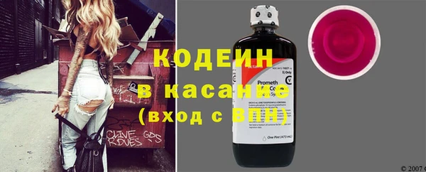 таблы Бородино