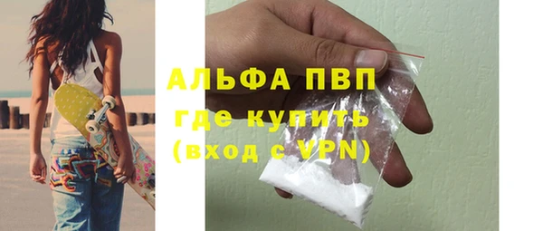 таблы Бородино