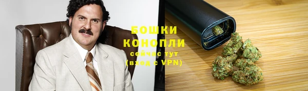 таблы Бородино