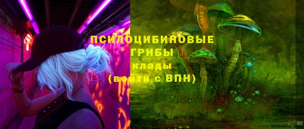 таблы Бородино